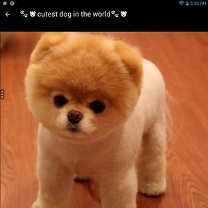 Meet your Posher, Bryan